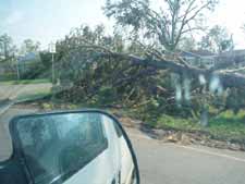 Katrina's damage