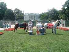 Walk across America Final Day of the Walk Across America Prophetic Tour in Washington DC