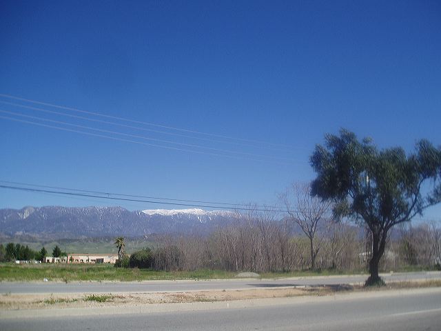 march_15th_007.jpg