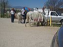 march_17th_008