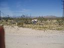 march_18th_014
