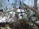 march_19th_027