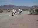 march_19th_033