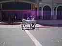 march_26th_012