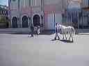 march_26th_017
