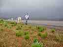april_3--_hurricane_valley__utah_011