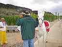 april_3--_hurricane_valley__utah_043