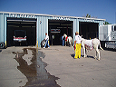 may_11__brewster_kansas_029