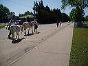may_14__hays_kansas_035