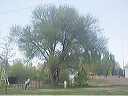 may_7__i-70_colorado_024