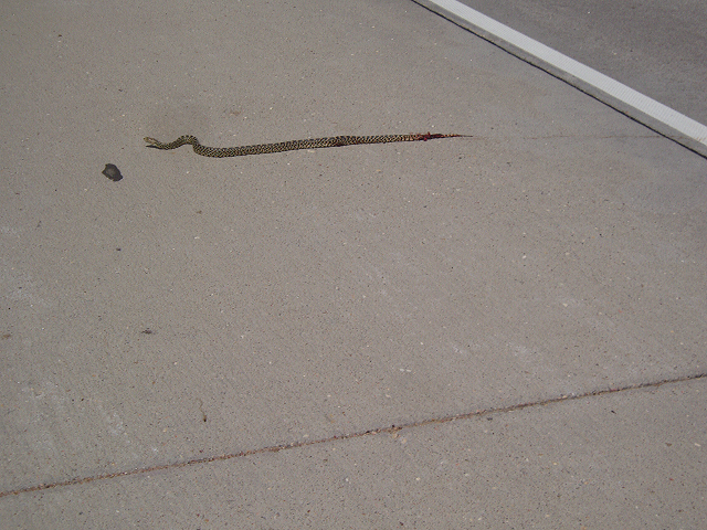 may_11__brewster_kansas_063.jpg
