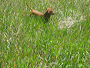 may_12__colby_kansas_008
