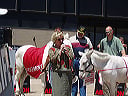 may_26__wichita_kansas_034