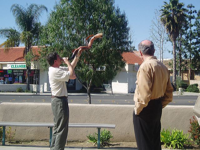 seventh_048.jpg