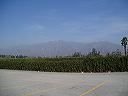 seventh_020