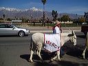 walk_across_america_prophetic_tour_010