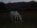 march_10th_002