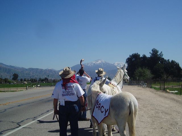 march_11th_054.jpg