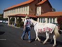 march_11-13_001