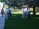 march_11-13_019