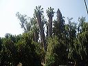 march_11-13_055