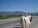 march_11-13_056