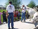 march_11-13_059